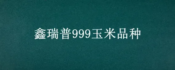 鑫瑞普999玉米品种