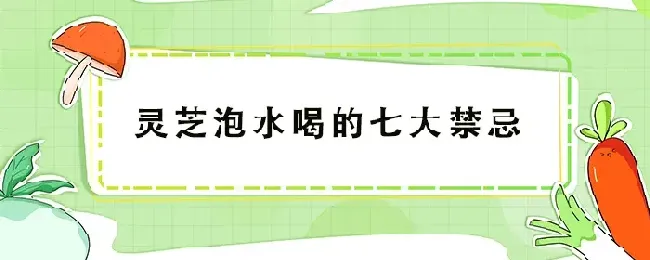 灵芝泡水喝的七大禁忌