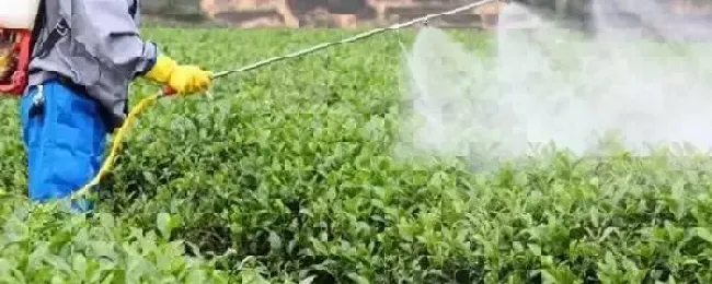 70种杀菌剂作用分类