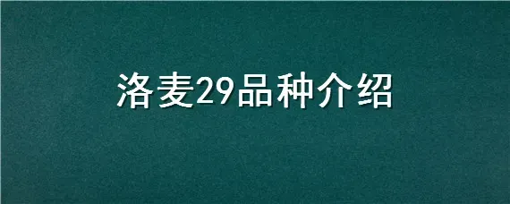 洛麦29品种介绍