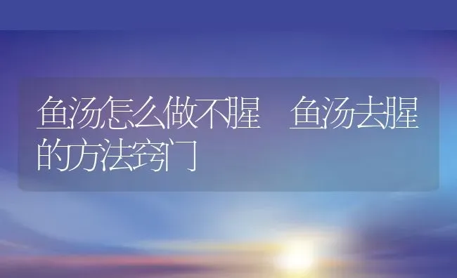 鱼汤怎么做不腥 鱼汤去腥的方法窍门 | 养殖资料投稿