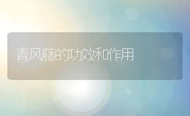 青风藤的功效和作用 | 养殖资料投稿