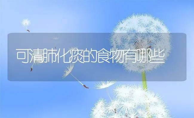 可清肺化痰的食物有哪些 | 养殖资料投稿