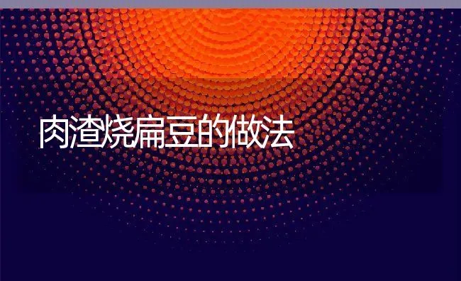 肉渣烧扁豆的做法 | 养殖资料投稿