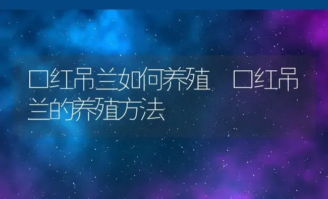 口红吊兰如何养殖 口红吊兰的养殖方法 | 养殖资料投稿