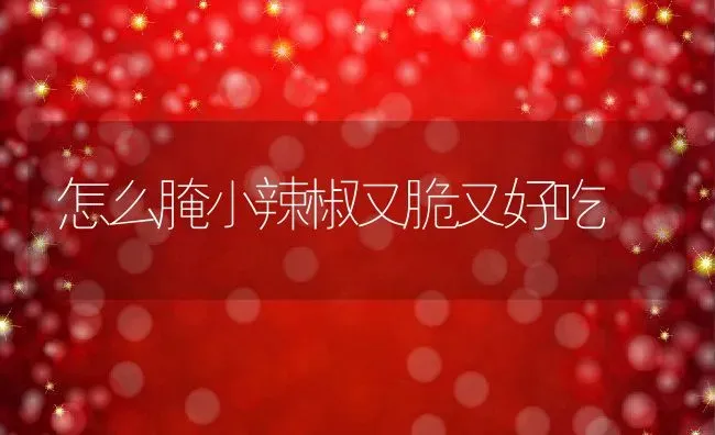 怎么腌小辣椒又脆又好吃 | 养殖资料投稿