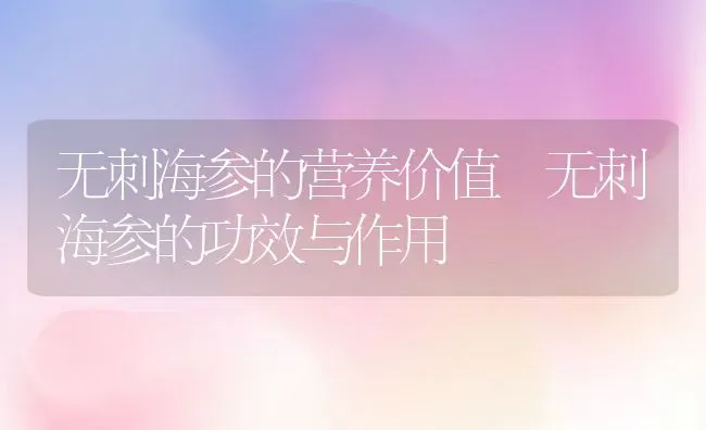 无刺海参的营养价值 无刺海参的功效与作用 | 养殖资料投稿
