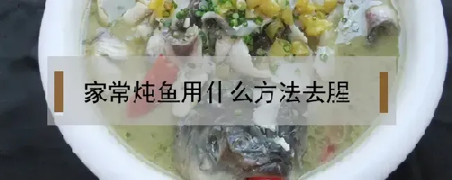 家常炖鱼用什么方法去腥