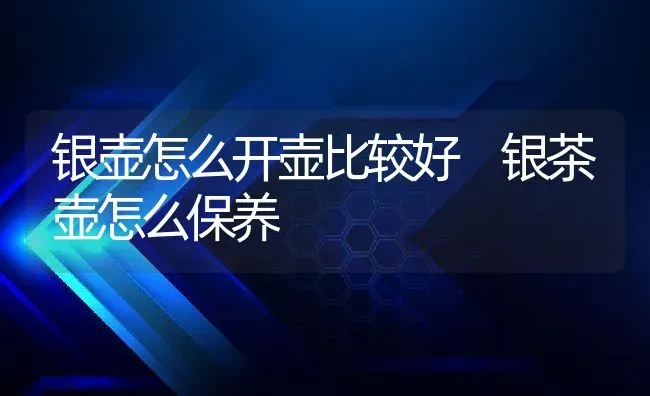 银壶怎么开壶比较好 银茶壶怎么保养 | 养殖资料投稿