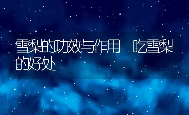 雪梨的功效与作用 吃雪梨的好处 | 养殖资料投稿
