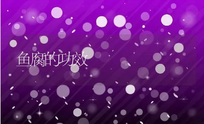 鱼腐的功效 | 养殖资料投稿