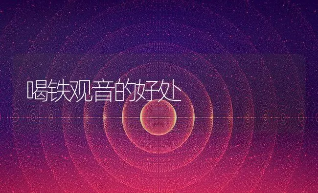 喝铁观音的好处 | 养殖资料投稿