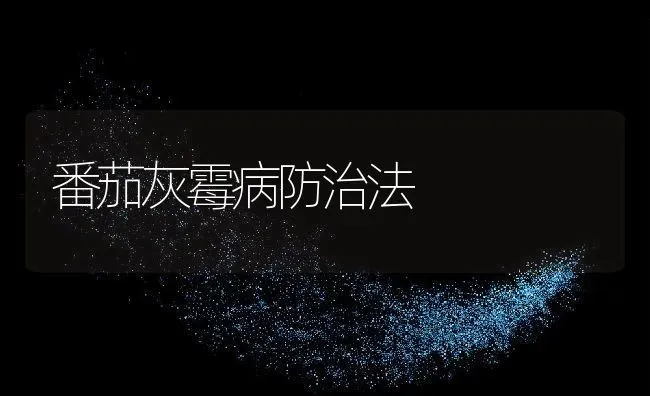 番茄灰霉病防治法 | 养殖资料投稿