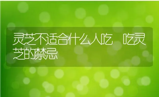 灵芝不适合什么人吃 吃灵芝的禁忌 | 养殖资料投稿