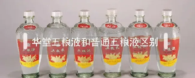 华堂五粮液和普通五粮液区别