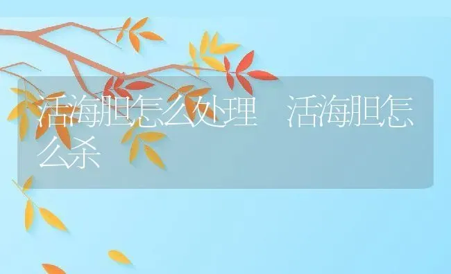 活海胆怎么处理 活海胆怎么杀 | 养殖资料投稿