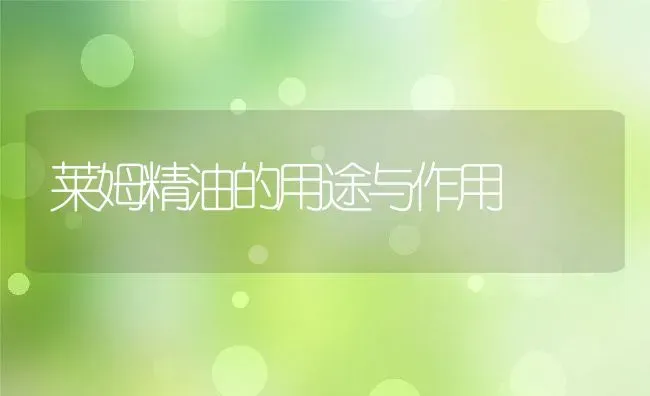 莱姆精油的用途与作用 | 养殖资料投稿