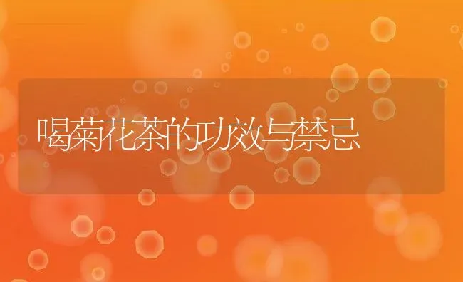 喝菊花茶的功效与禁忌 | 养殖资料投稿