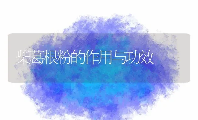 柴葛根粉的作用与功效 | 养殖资料投稿