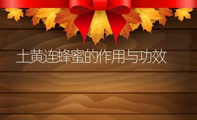 土黄连蜂蜜的作用与功效 | 养殖资料投稿