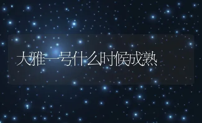 大雅一号什么时候成熟 | 养殖资讯