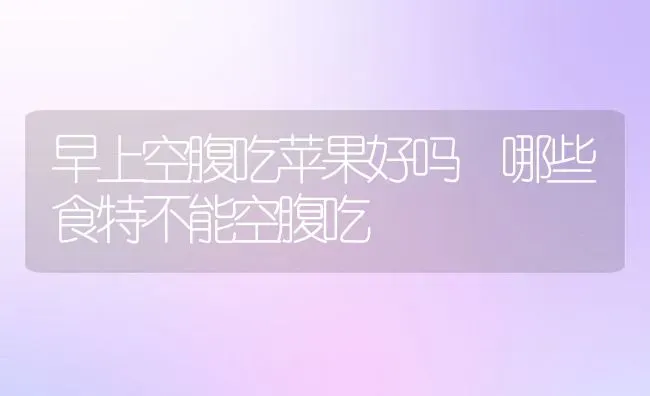 早上空腹吃苹果好吗 哪些食特不能空腹吃 | 养殖资料投稿