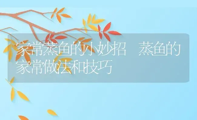 家常蒸鱼的小妙招 蒸鱼的家常做法和技巧 | 养殖资料投稿