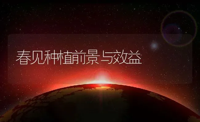 春见种植前景与效益 | 养殖资讯