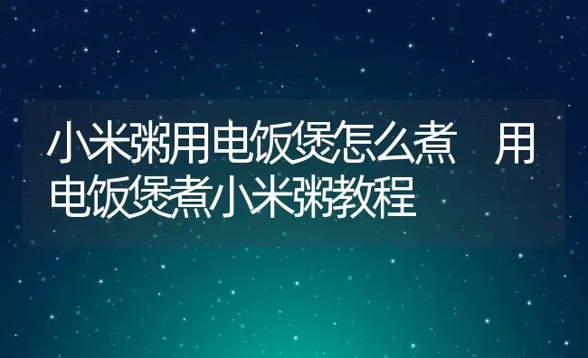 小米粥用电饭煲怎么煮 用电饭煲煮小米粥教程 | 养殖资讯