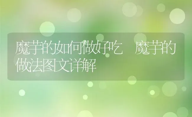 魔芋的如何做好吃 魔芋的做法图文详解 | 养殖资料投稿