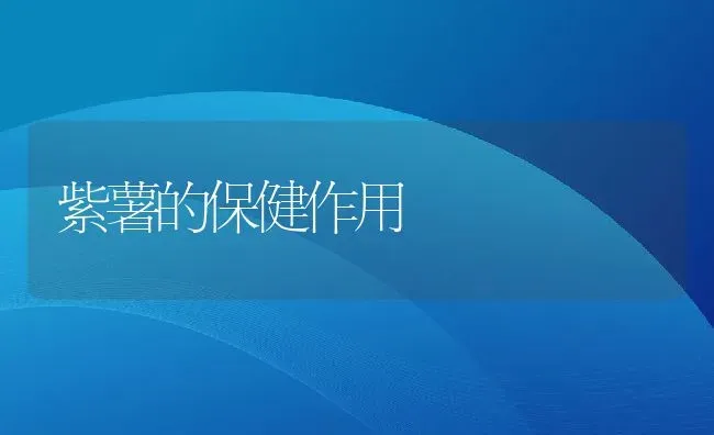 紫薯的保健作用 | 养殖资料投稿