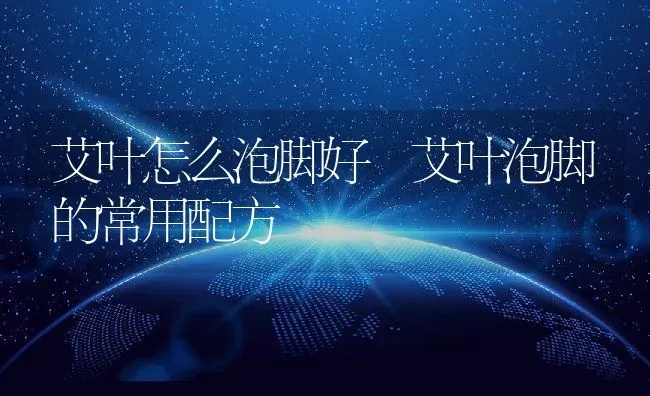 艾叶怎么泡脚好 艾叶泡脚的常用配方 | 养殖资料投稿