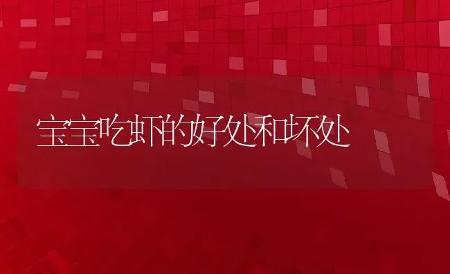 宝宝吃虾的好处和坏处 | 养殖资料投稿