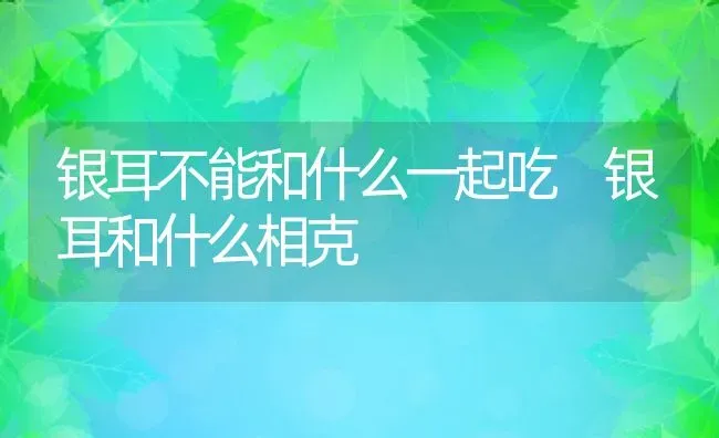 银耳不能和什么一起吃 银耳和什么相克 | 养殖资料投稿