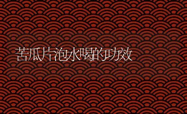 苦瓜片泡水喝的功效 | 养殖资料投稿