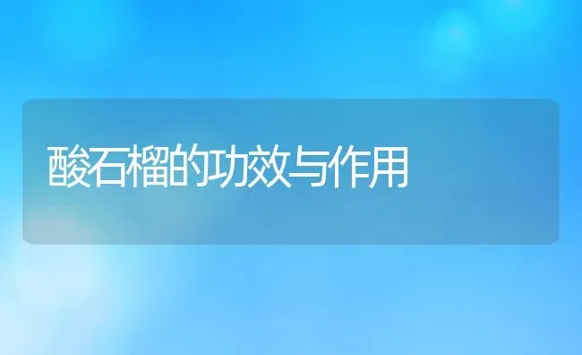 酸石榴的功效与作用 | 养殖资料投稿