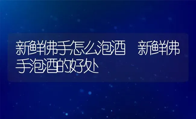 新鲜佛手怎么泡酒 新鲜佛手泡酒的好处 | 养殖资料投稿