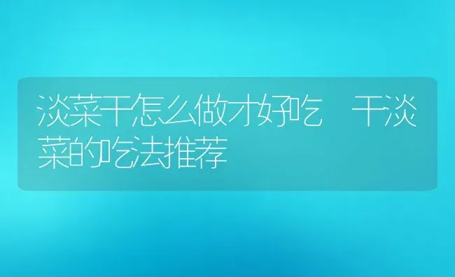 淡菜干怎么做才好吃 干淡菜的吃法推荐 | 养殖资料投稿