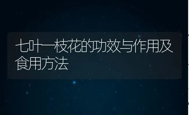 七叶一枝花的功效与作用及食用方法 | 养殖资料投稿