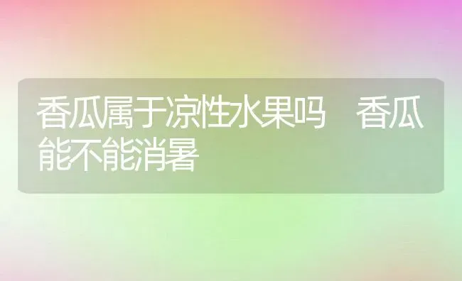 香瓜属于凉性水果吗 香瓜能不能消暑 | 养殖资料投稿