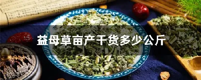 益母草亩产干货多少公斤