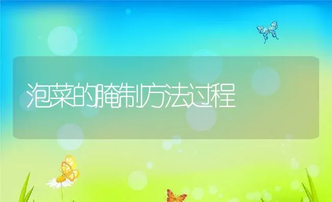 泡菜的腌制方法过程 | 养殖资料投稿