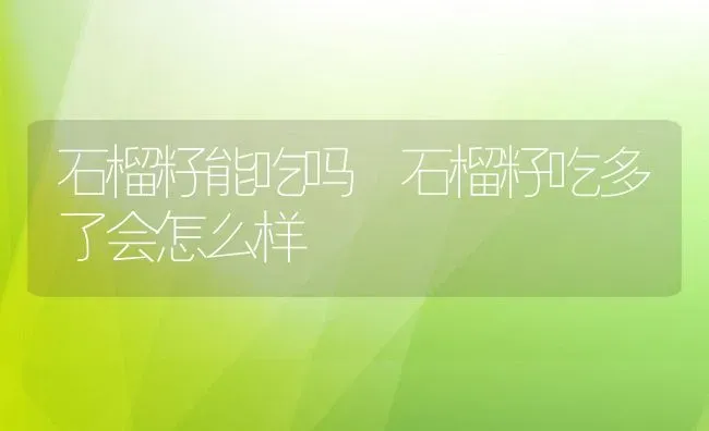 石榴籽能吃吗 石榴籽吃多了会怎么样 | 养殖资料投稿