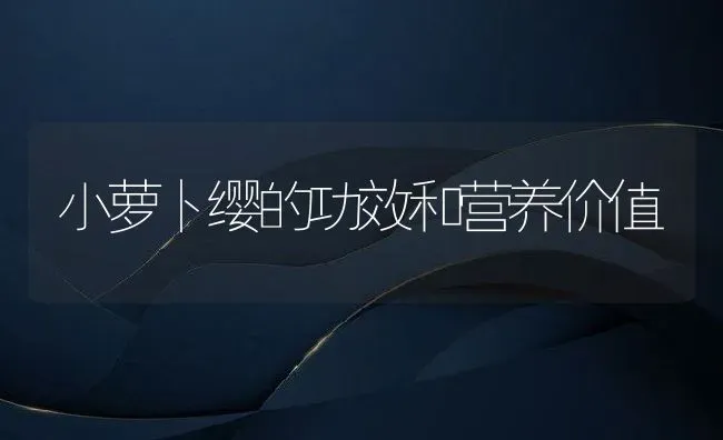 小萝卜缨的功效和营养价值 | 养殖资料投稿