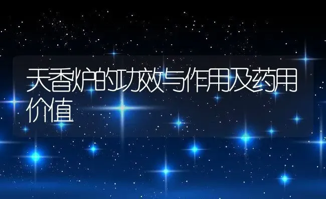 天香炉的功效与作用及药用价值 | 养殖资料投稿