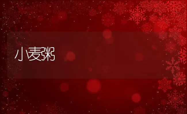 小麦粥 | 养殖资料投稿