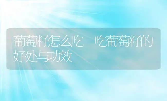 葡萄籽怎么吃 吃葡萄籽的好处与功效 | 养殖资料投稿