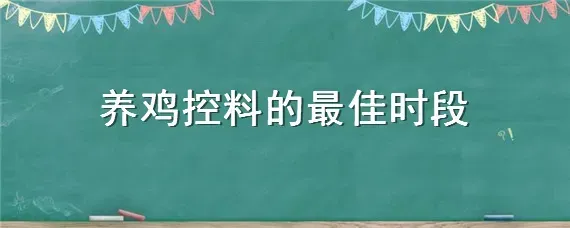 养鸡控料的最佳时段