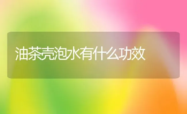 油茶壳泡水有什么功效 | 养殖资料投稿