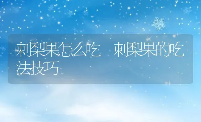 刺梨果怎么吃 刺梨果的吃法技巧 | 养殖资料投稿